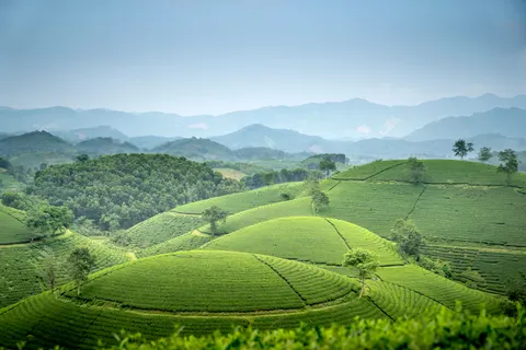 Grüne Hügel 4K Hintergrundbild · nature · 3840×2560