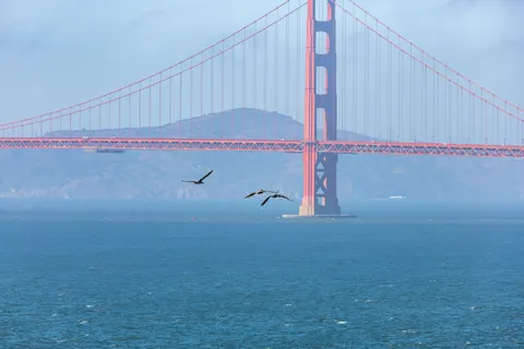 Fondo de pantalla Puente Golden Gate 4K · city · 3840×2560