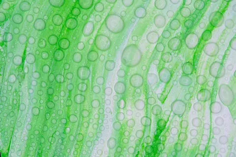 Fluid Abstract 4K Wallpaper · abstract · 3840×2560