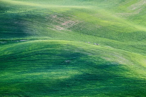 초록 언덕 4K 배경화면 · nature · 3840×2560