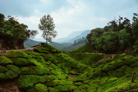 خلفية تلال خضراء بدقة 4K · nature · 3840×2560