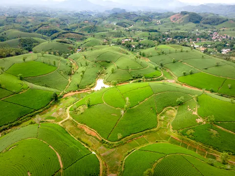 绿色丘陵 4K壁纸 · nature · 3840×2880
