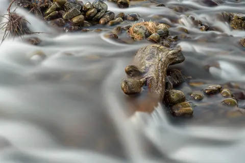 瀑布 4K壁纸 · nature · 3840×2560