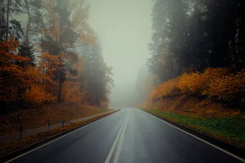 Autumn Forest 4K Wallpaper · nature · 3840×2560