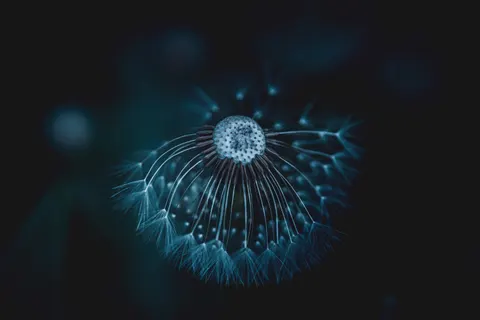 Smoke 4K Wallpaper · abstract · 3840×2560