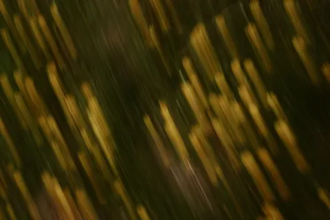 연기 4K 배경화면 · abstract · 3840×2559