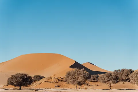 خلفية كثبان الصحراء بدقة 4K · nature · 3840×2560