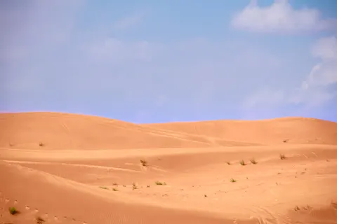 사막 모래언덕 4K 배경화면 · nature · 3840×2560