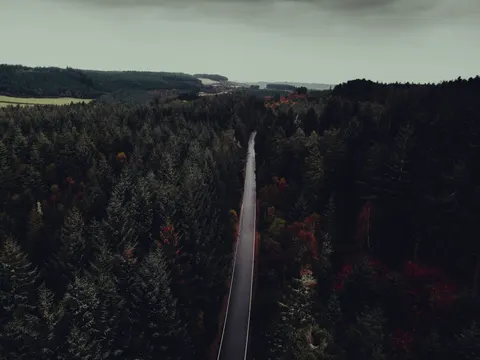 Fondo de pantalla Bosque de otoño 4K · nature · 3840×2880