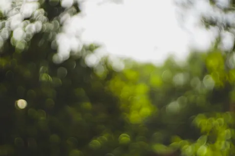 Bokeh Lights 4K Wallpaper · abstract · 3840×2560