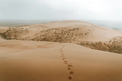 Desert Dunes 4K Wallpaper · nature · 3840×2560