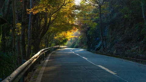 가을 숲 4K 배경화면 · nature · 3840×2160