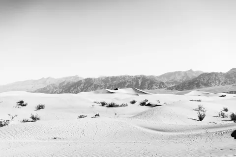 Desert Dunes 4K Wallpaper · nature · 3840×2560
