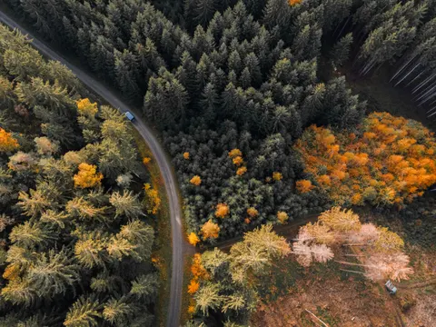 가을 숲 4K 배경화면 · nature · 3840×2880