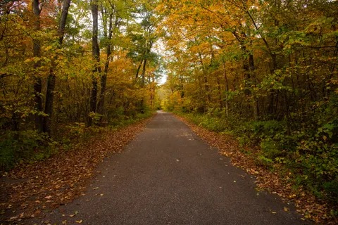 Fondo de pantalla Bosque de otoño 4K · nature · 3840×2563