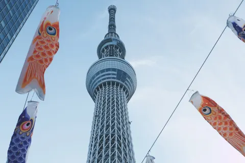 Tokyo by Day 4K Wallpaper · city · 3840×2560
