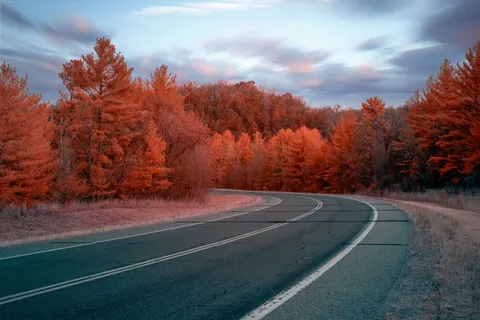 가을 숲 4K 배경화면 · nature · 3840×2560