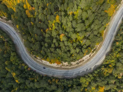 Papel de parede Floresta de outono 4K · nature · 3840×2880