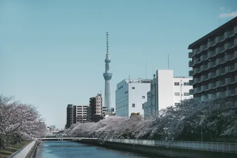 Sfondo Tokyo di Giorno 4K · city · 3840×2560