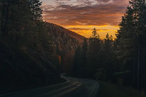 秋日森林 4K壁纸 · nature · 3840×2560