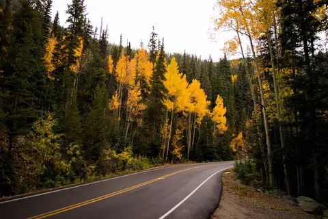 Fondo de pantalla Bosque de otoño 4K · nature · 3840×2560