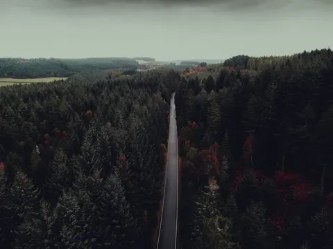 Herbstwald 4K Hintergrundbild · nature · 3840×2880