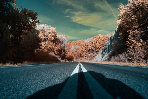 가을 숲 4K 배경화면 · nature · 3840×2560