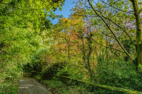 Autumn Forest 4K Wallpaper · nature · 3840×2560