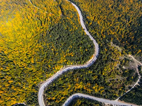 가을 숲 4K 배경화면 · nature · 3840×2880