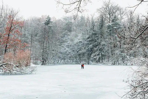 Winterschnee 4K Hintergrundbild · nature · 3840×2560