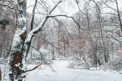 Fondo de pantalla Nieve de invierno 4K · nature · 3840×2560