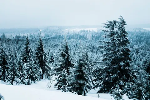 Winter Snow 4K Wallpaper · nature · 3840×2560