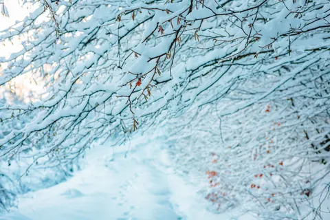 Winter Snow 4K Wallpaper · nature · 3840×2560