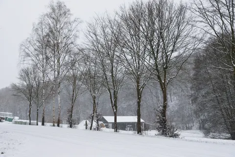 Winter Snow 4K Wallpaper · nature · 3840×2560