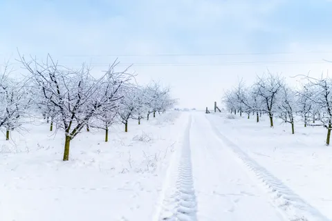Fondo de pantalla Nieve de invierno 4K · nature · 3840×2563