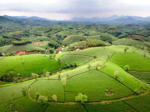 Fond d'écran Collines vertes 4K · nature · 3840×2880