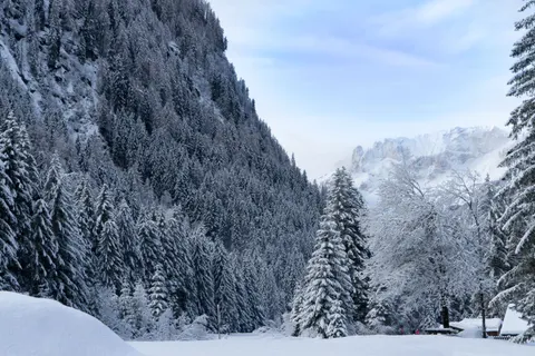 خلفية ثلج الشتاء بدقة 4K · nature · 3840×2560