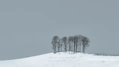겨울 눈 4K 배경화면 · nature · 3840×2160