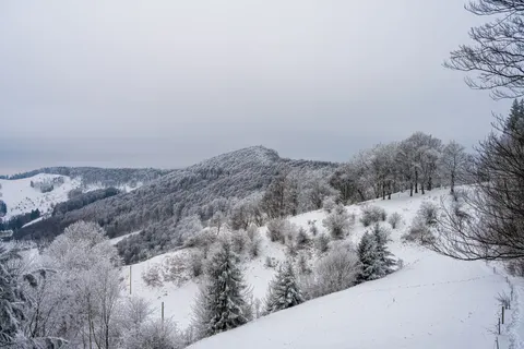 冬日雪景 4K壁纸 · nature · 3840×2560