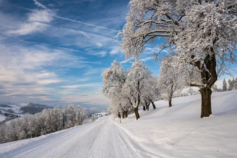 Winter Snow 4K Wallpaper · nature · 3840×2560