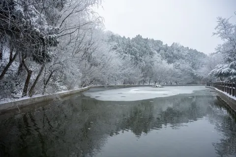 겨울 눈 4K 배경화면 · nature · 3840×2560