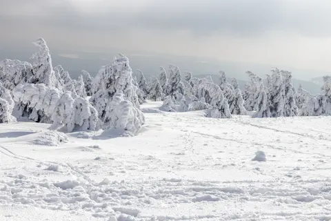 Winter Snow 4K Wallpaper · nature · 3840×2560