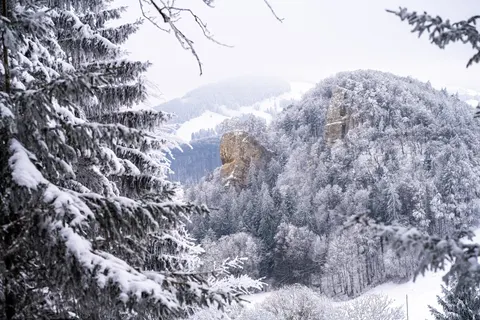 Winter Snow 4K Wallpaper · nature · 3840×2560