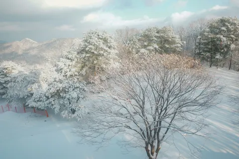 冬日雪景 4K壁纸 · nature · 3840×2560