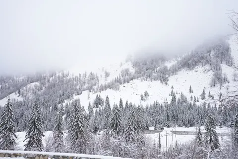 Winter Snow 4K Wallpaper · nature · 3840×2560