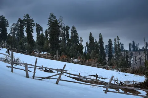 Winter Snow 4K Wallpaper · nature · 3840×2560