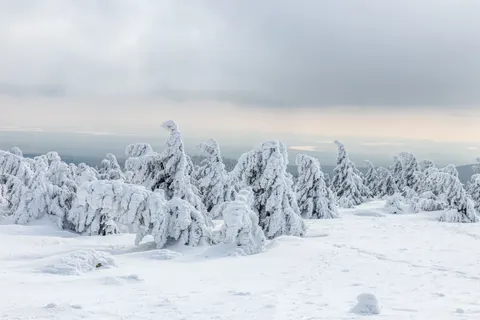 Winter Snow 4K Wallpaper · nature · 3840×2560