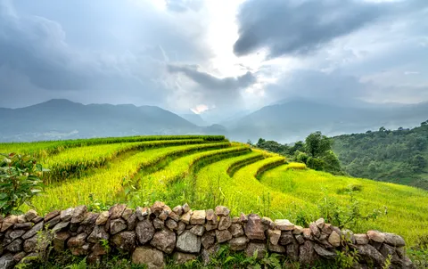 계단식 논 4K 배경화면 · nature · 3840×2420
