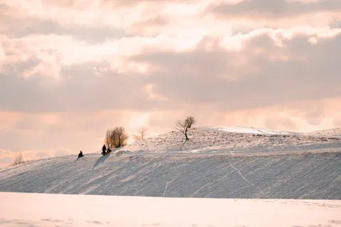 冬日雪景 4K壁纸 · nature · 3840×2560