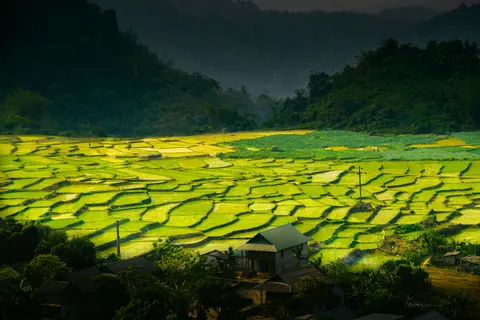 계단식 논 4K 배경화면 · nature · 3840×2560